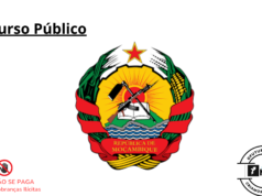 Vaga Para (288) Agente de Validação dos Registos de Nascimento (12ª Classe) (Todo Moçambique)