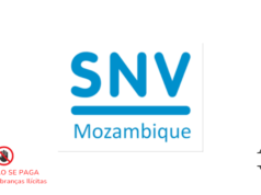 Vaga para Gestor do Fundo de Energia Limpa