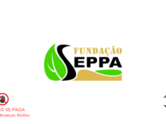 Vaga Para Supervisor(a) de Campo