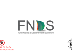 Vaga Para Especialista Florestal e de Gestao de Recursos Naturais